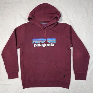 Patagonia Men's Burgundy Hoodie